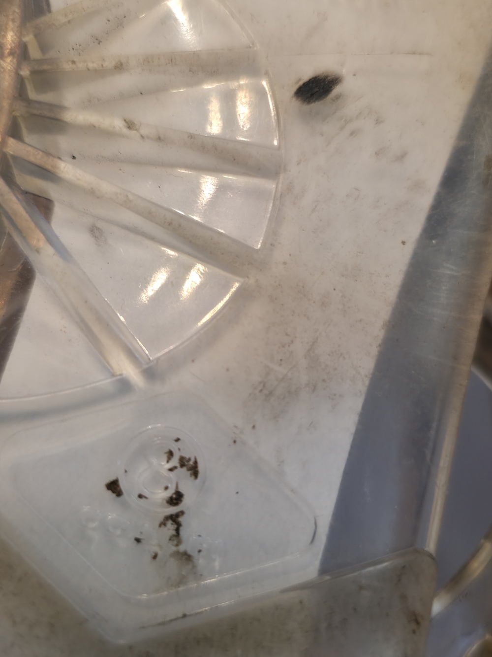 Coach Clear Jelly Thong Sandals in Clear/Beige - Picture 6 of 6